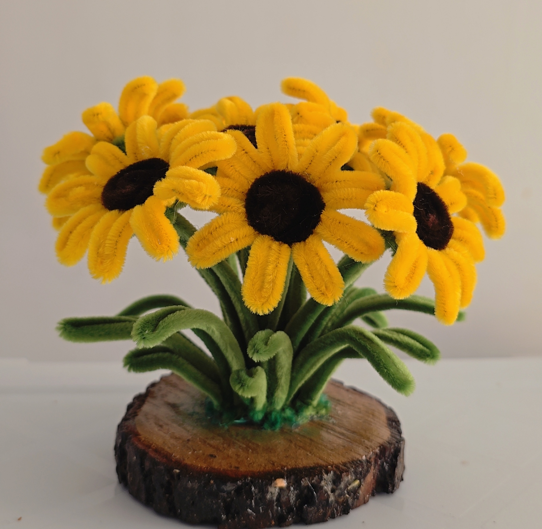 باغچه گل زیبای تو